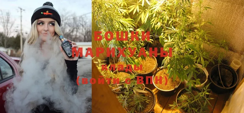 Бошки марихуана White Widow  ссылка на мегу ONION  Велиж 